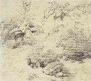 Study for a Foreground,a Bank with Weeds and Thistles Thomas